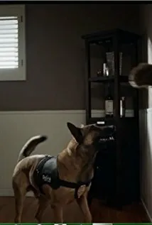 Фотография актёра Джаггер