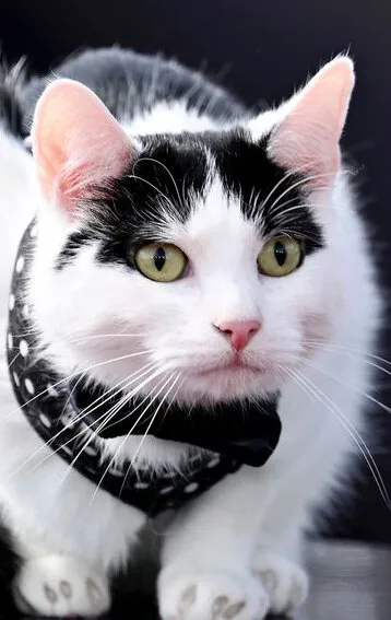 Фотография актёра 