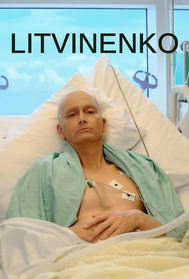 Смотреть онлайн Литвиненко бесплатно