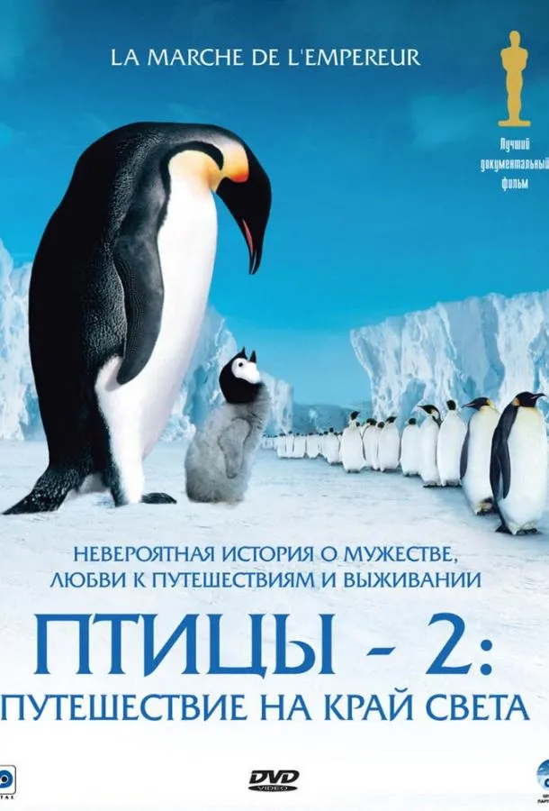 Птицы 2: Путешествие на край света смотреть онлайн бесплатно