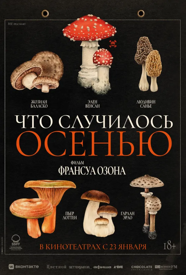 Смотреть онлайн Что случилось осенью бесплатно
